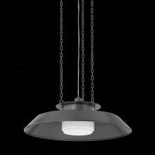 Hudson Valley 8822-DB - Woodrow Pendant