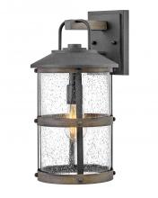 Hinkley 2684DZ-LL - Medium Wall Mount Lantern